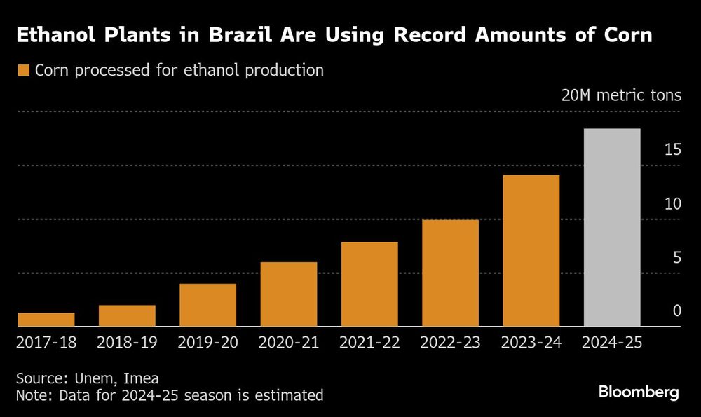 Usinas de etanol no Brasil estão usando quantidades recordes de milho Usinas de etanol no Brasil estão usando quantidades recordes de milho